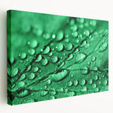 Close-up image of water droplets on a leaf, in cool blue tones on a large stretched canvas, suitable for kitchen wall art.