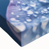 Close-up of a water droplet on a leaf in black and white, printed on large stretched canvas, suitable for bedroom wall decor.