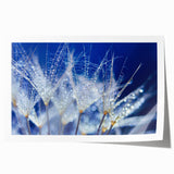 Close-up floral design in soft pastel shades on rolled print, ideal for art wall dining room or classy bathroom wall art.