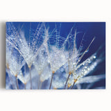 Black and white close-up of water droplets on a surface, printed on stretched canvas, suitable for kitchen wall art.