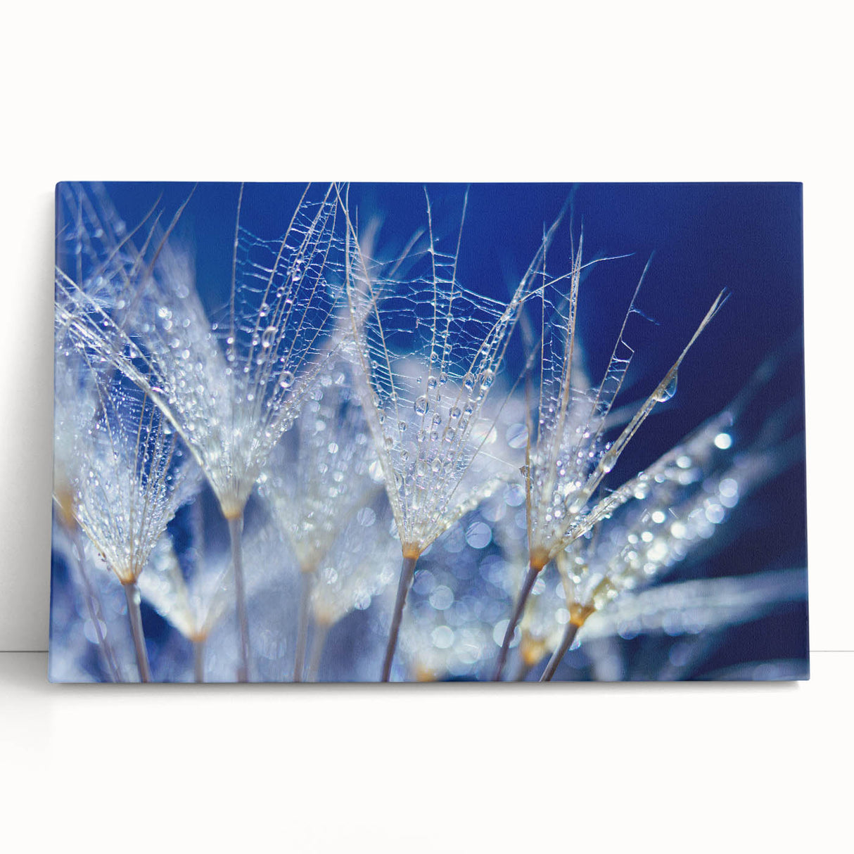 Close-up of water droplets on a surface, black and white stretched canvas, suitable as kitchen wall art or for bedroom.