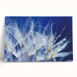 Close-up of water droplets on a surface, black and white stretched canvas, suitable as kitchen wall art or for bedroom.