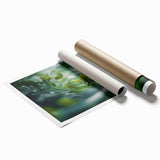 Close-up of water droplets on vibrant green leaves, extra large rolled print, ideal for classy bathroom wall art.