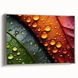 Framed canvas featuring a close-up landscape art painting with vibrant water designs, set in a silver frame.