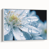 Extra large vintage poster art on framed canvas featuring a close-up of water droplets on a leaf in black with vibrant color…