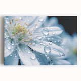 Black and white close-up photo of water droplets on a surface, printed on large stretched canvas, ideal for kitchen wall art.
