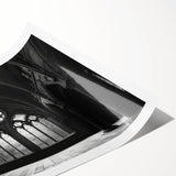 Extra large wall art featuring line art flowers in muted earth tones on a rolled canvas, suited for large living room decor.