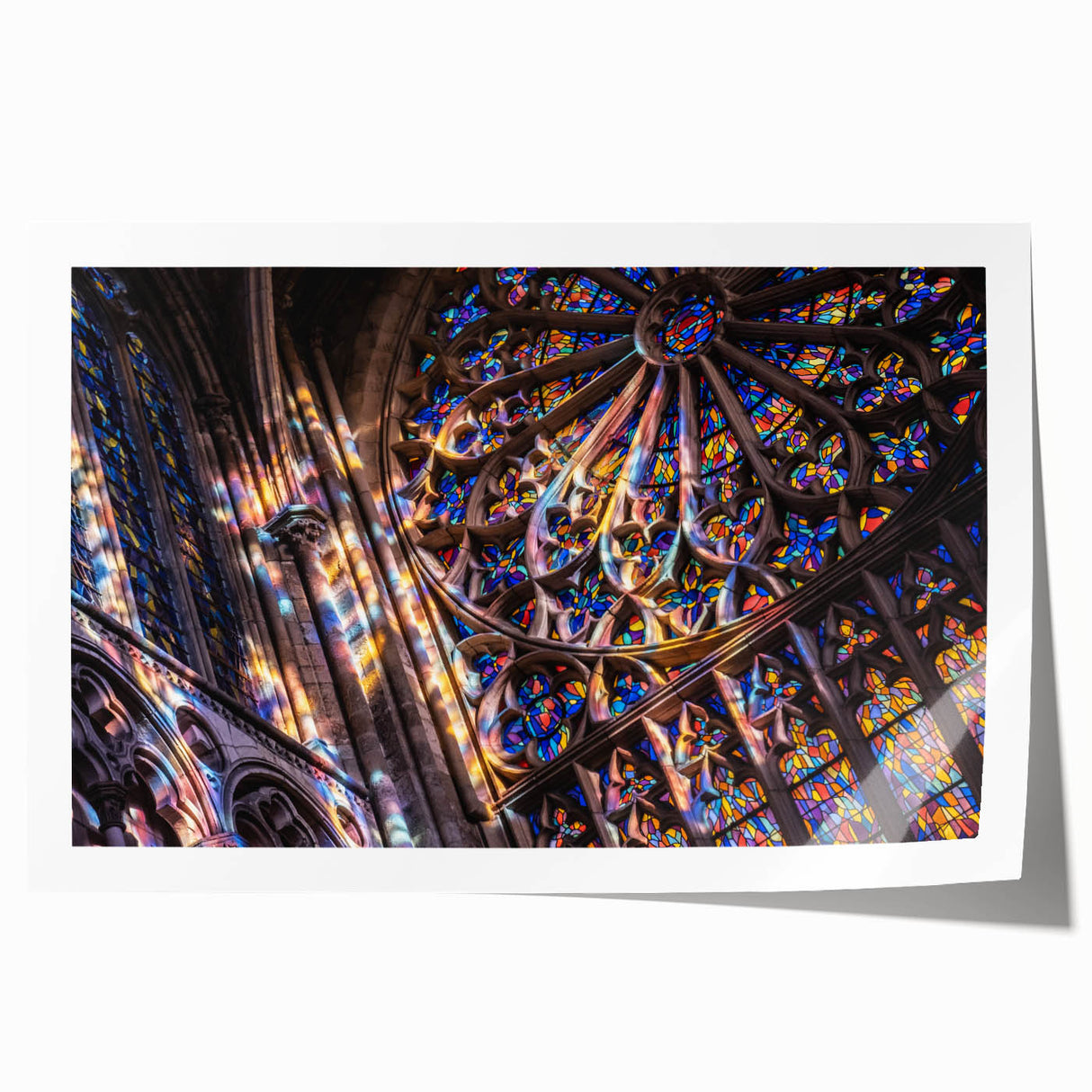 Extra large rolled print featuring a detailed floral art design, ideal for art wall dining room or classy bathroom.