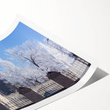 Extra large wall art depicting line art flowers in muted tones on a rolled print, ideal for large living room decor.