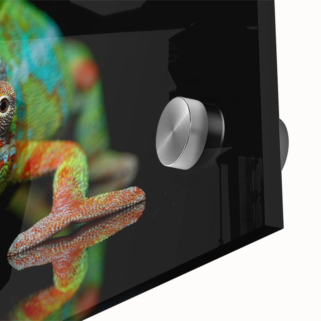 Vibrant close-up of a chameleon wall art design on acrylic glass, showcasing intricate details and vivid colors, perfect for reptile enthusiasts and modern decor.
