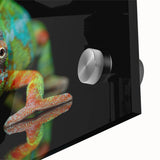 Vibrant close-up of a chameleon wall art design on acrylic glass, showcasing intricate details and vivid colors, perfect for reptile enthusiasts and modern decor.