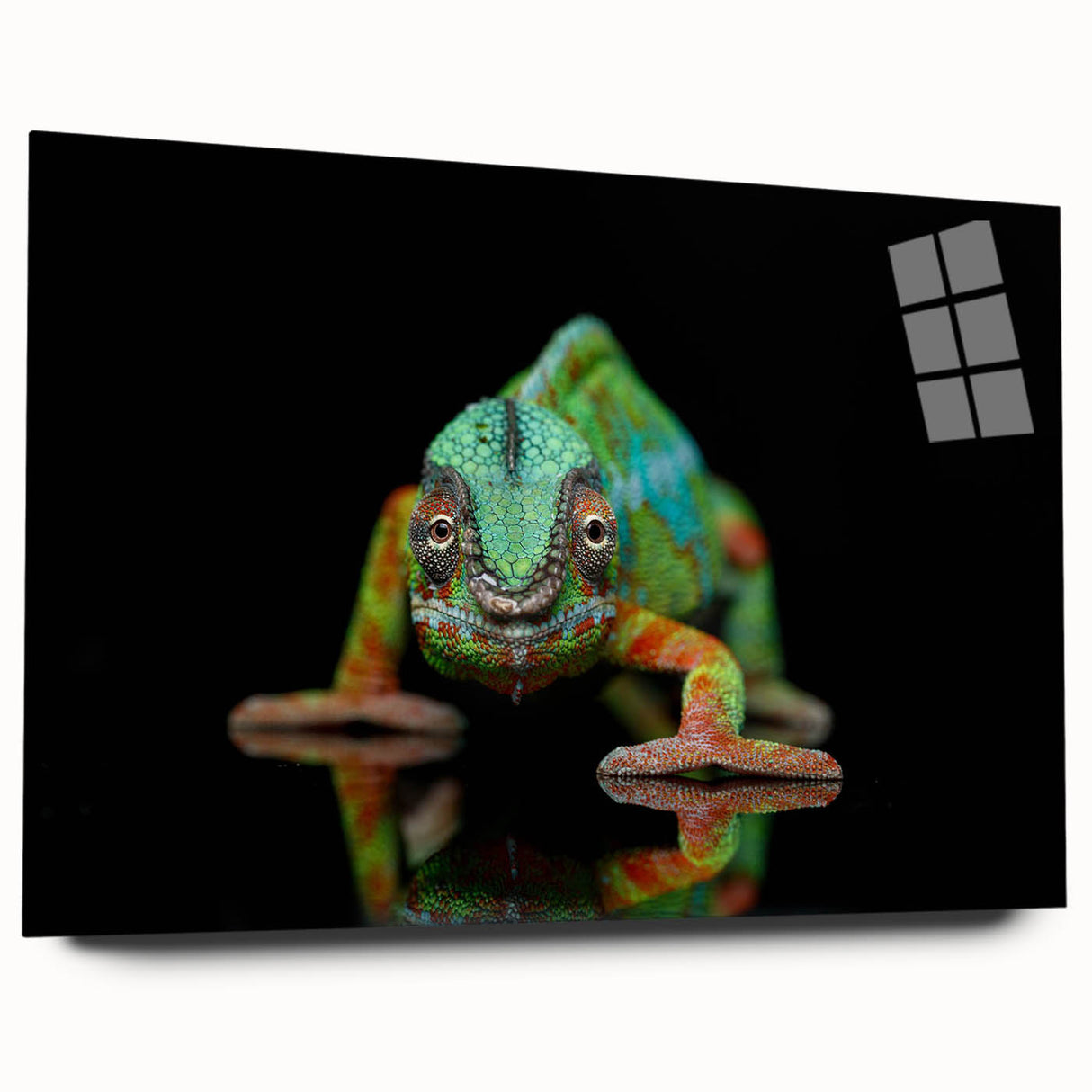 Vibrant chameleon wall art design displayed in a sleek acrylic glass frame, showcasing intricate details and vivid colors, perfect for reptile enthusiasts.