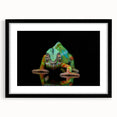 Chameleon wall art print in a sleek black frame, showcasing vibrant colors and intricate details, ideal for adding a unique touch to modern decor.