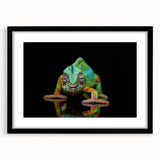 Chameleon wall art print in a sleek black frame, showcasing vibrant colors and intricate details, ideal for adding a unique touch to modern decor.