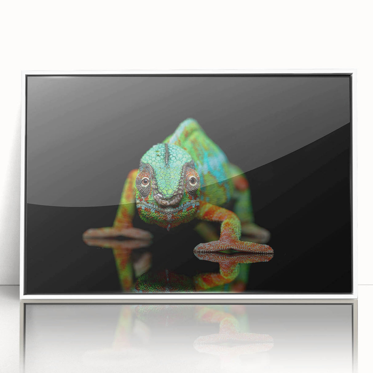 Framed wall art showcasing a vibrant chameleon design with a white frame, perfect for reptile lovers and modern home decor. Ideal for adding a colorful touch to any room.