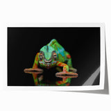 Vibrant chameleon wall art print showcasing intricate colors and patterns, rolled for easy shipping, perfect for enhancing modern home decor.