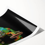 Vibrant chameleon wall art print showcasing intricate details and vivid colors, rolled and ready for display in a stylish interior setting, perfect for reptile enthusiasts.