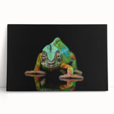 Vibrant chameleon artwork on stretched canvas, showcasing intricate colors and details, perfect for reptile lovers and home decor enthusiasts. Ideal for adding a unique touch to any room.