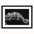 Framed wall art featuring a vibrant chameleon design in a modern black frame, showcasing intricate colors and details perfect for reptile enthusiasts and home decor.