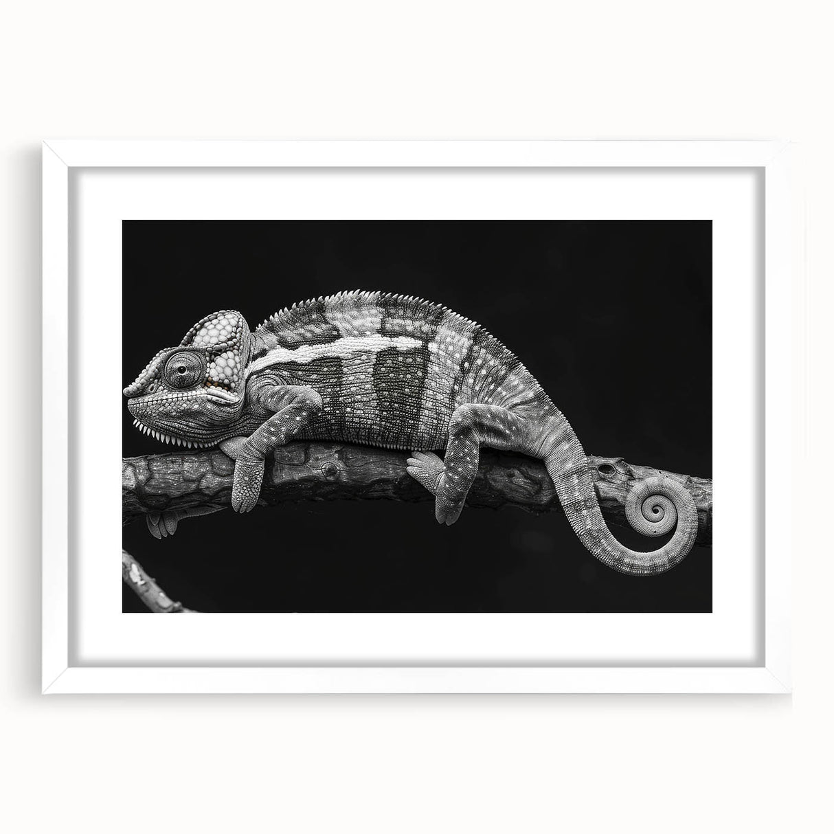 Chameleon-themed wall art collection featuring a vibrant design in a sleek white frame, perfect for adding a pop of color to any room decor.