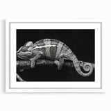 Chameleon-themed wall art collection featuring a vibrant design in a sleek white frame, perfect for adding a pop of color to any room decor.