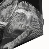 Close-up of a vibrant chameleon wall art design, showcasing intricate details and vivid colors, perfect for enhancing any modern decor. This acrylic glass artwork adds a unique touch to reptile-themed interiors.
