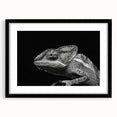 Chameleon-themed wall art framed in black with a white mat, showcasing vibrant colors and intricate details, perfect for reptile enthusiasts and home decor.