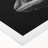 Colorful chameleon wall art design on rolled canvas, showcasing vibrant hues and intricate details, perfect for reptile enthusiasts and modern decor.