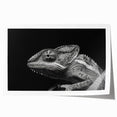Vibrant chameleon wall art print showcasing intricate colors and patterns, rolled for easy shipping and display in home decor. Ideal for reptile enthusiasts.
