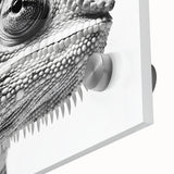 Close-up of vibrant chameleon wall art design on acrylic glass, showcasing intricate colors and details, perfect for reptile decor enthusiasts and art collectors.