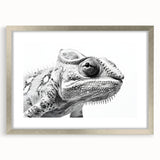 Chameleon-themed wall art featuring vibrant colors and intricate designs, framed in silver with a mat, perfect for adding a unique touch to home decor.