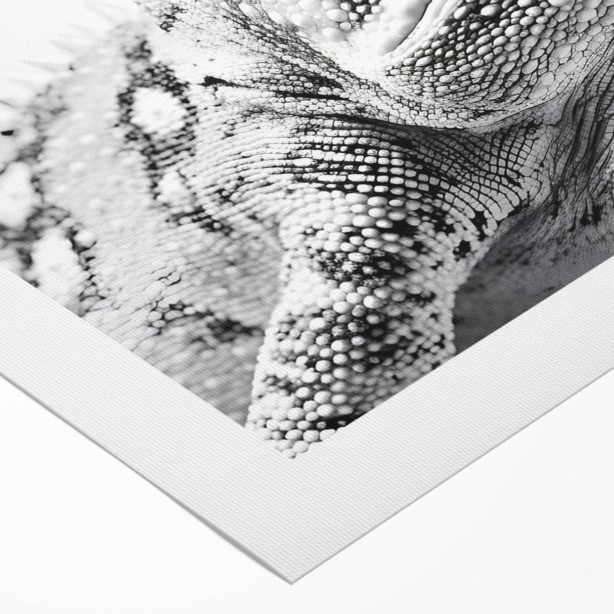 Vibrant chameleon-themed wall art design on rolled canvas, showcasing detailed textures and colors, perfect for reptile enthusiasts and home decor.