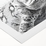 Vibrant chameleon-themed wall art design on rolled canvas, showcasing detailed textures and colors, perfect for reptile enthusiasts and home decor.
