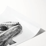 Vibrant rolled wall art print showcasing a detailed chameleon design, featuring rich colors and intricate patterns, perfect for reptile enthusiasts and home decor.