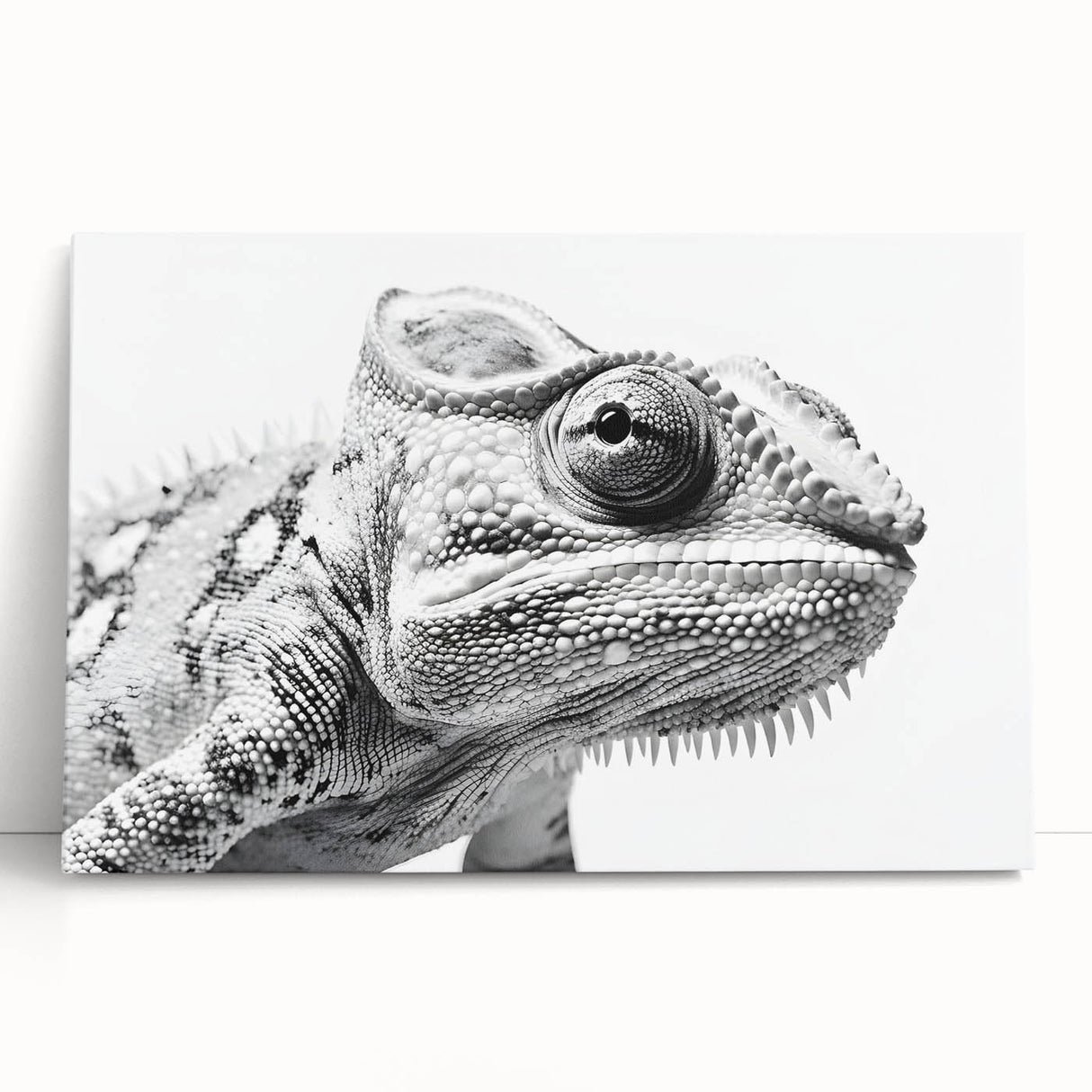 Vibrant chameleon wall art design on stretched canvas, showcasing intricate details and bright colors, perfect for adding a unique touch to any room decor.
