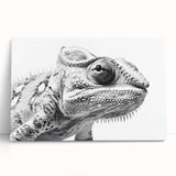 Vibrant chameleon wall art design on stretched canvas, showcasing intricate details and bright colors, perfect for adding a unique touch to any room decor.