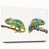 Vibrant chameleon-themed wall art collection displayed in acrylic glass, showcasing a side view of intricate reptile design with vivid colors, perfect for modern decor.