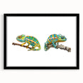Chameleon-themed wall art collection featuring vibrant colors and intricate designs, elegantly framed in black with a mat, perfect for reptile enthusiasts and home decor.