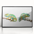 Framed wall art featuring a vibrant chameleon design in acrylic, showcasing intricate details and a sleek black frame, perfect for reptile and nature enthusiasts.