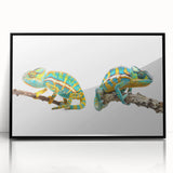 Framed wall art featuring a vibrant chameleon design in acrylic, showcasing intricate details and a sleek black frame, perfect for reptile and nature enthusiasts.