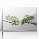 Framed acrylic wall art showcasing a colorful chameleon design on a white background, perfect for reptile enthusiasts and modern home decor.