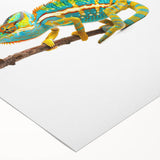 Vibrant rolled canvas art featuring a colorful chameleon design, ideal for reptile enthusiasts, showcasing intricate details and textures perfect for wall decor.