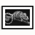 Framed wall art featuring a vibrant chameleon design, showcasing intricate details and bold colors, perfect for adding a unique touch to any living space.