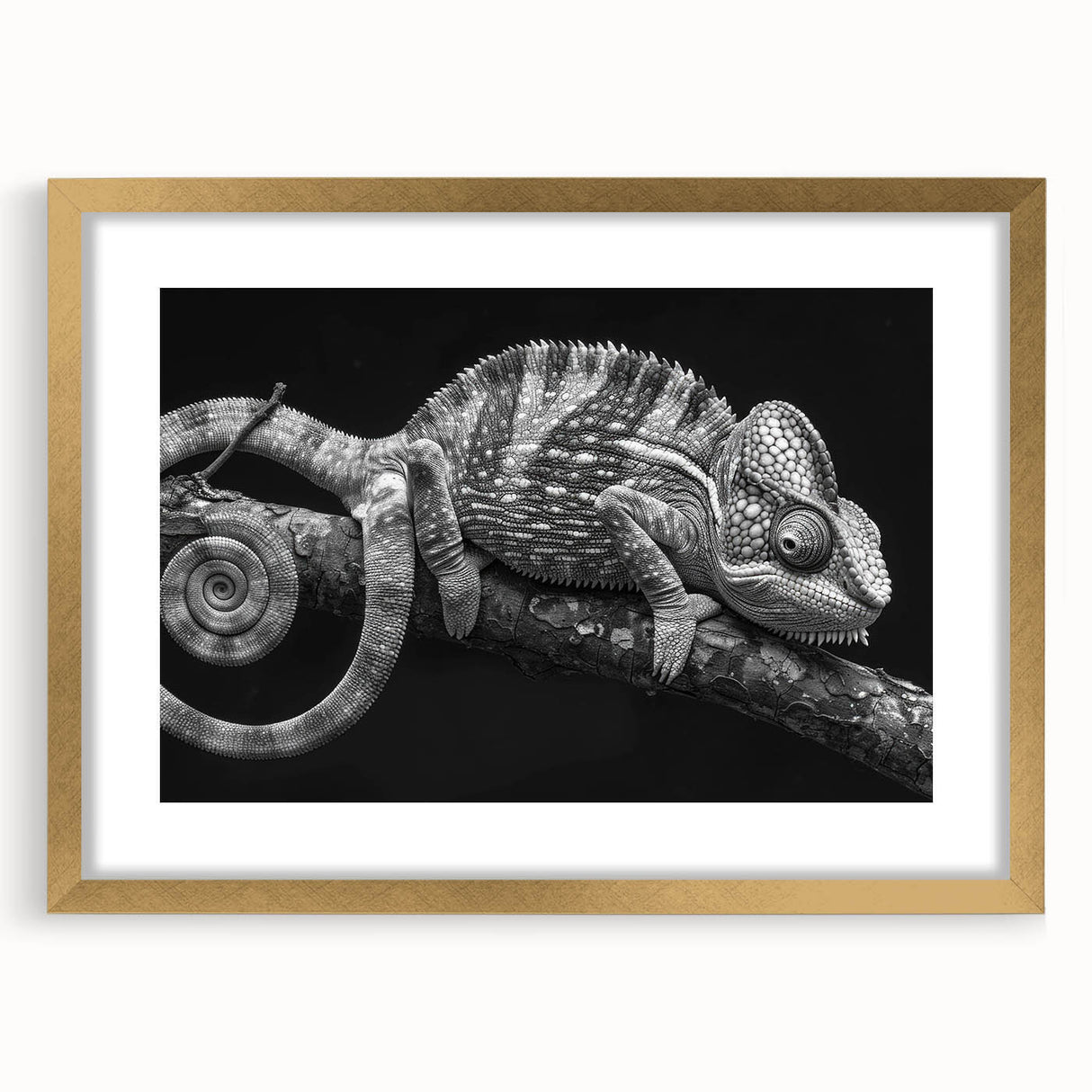 Chameleon-themed wall art framed in a gold mat, showcasing vibrant colors and intricate design details, perfect for reptile enthusiasts and modern decor.