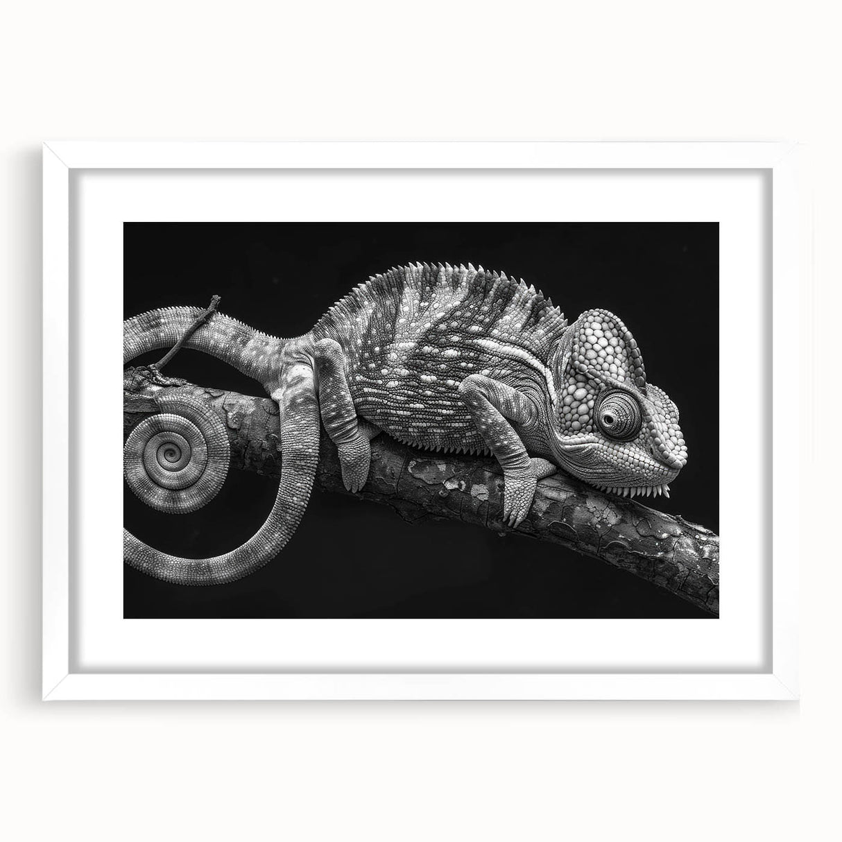 Charming chameleon wall art framed in white, showcasing vibrant colors and intricate details, perfect for reptile lovers and home decor enthusiasts.