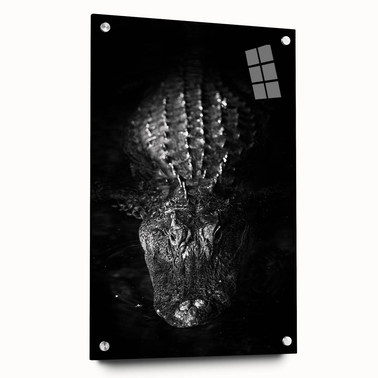 Acrylic glass wall art featuring a vibrant design of reptiles, including alligators and crocodiles, displayed in a modern setting with artistic pins.