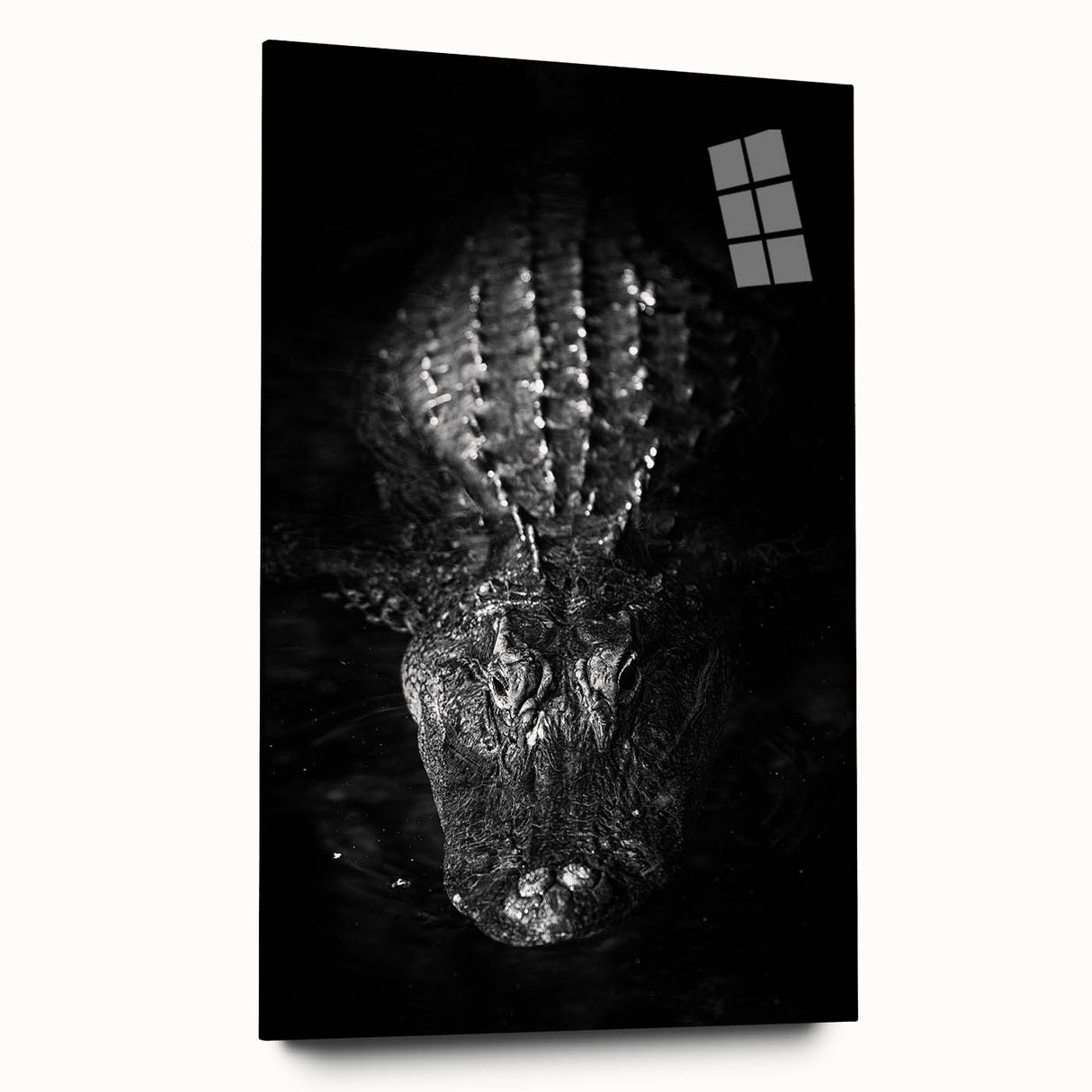 Acrylic wall art display featuring a vibrant reptile design showcasing alligators and crocodiles in a side view, perfect for nature enthusiasts and home decor.