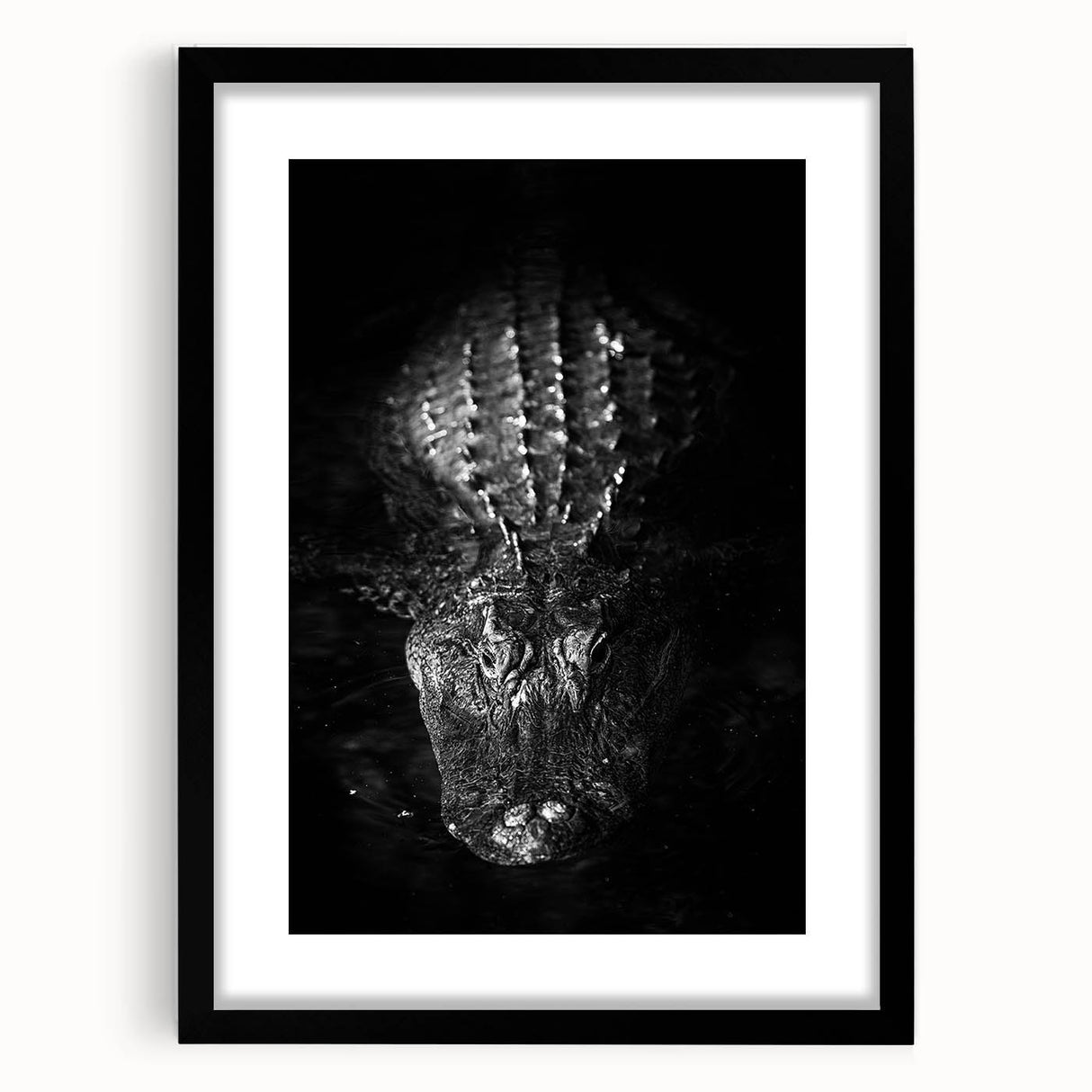 Framed wall art showcasing a vibrant reptile design featuring gators and crocodiles, set against a sleek black mat, perfect for wildlife enthusiasts and home decor.