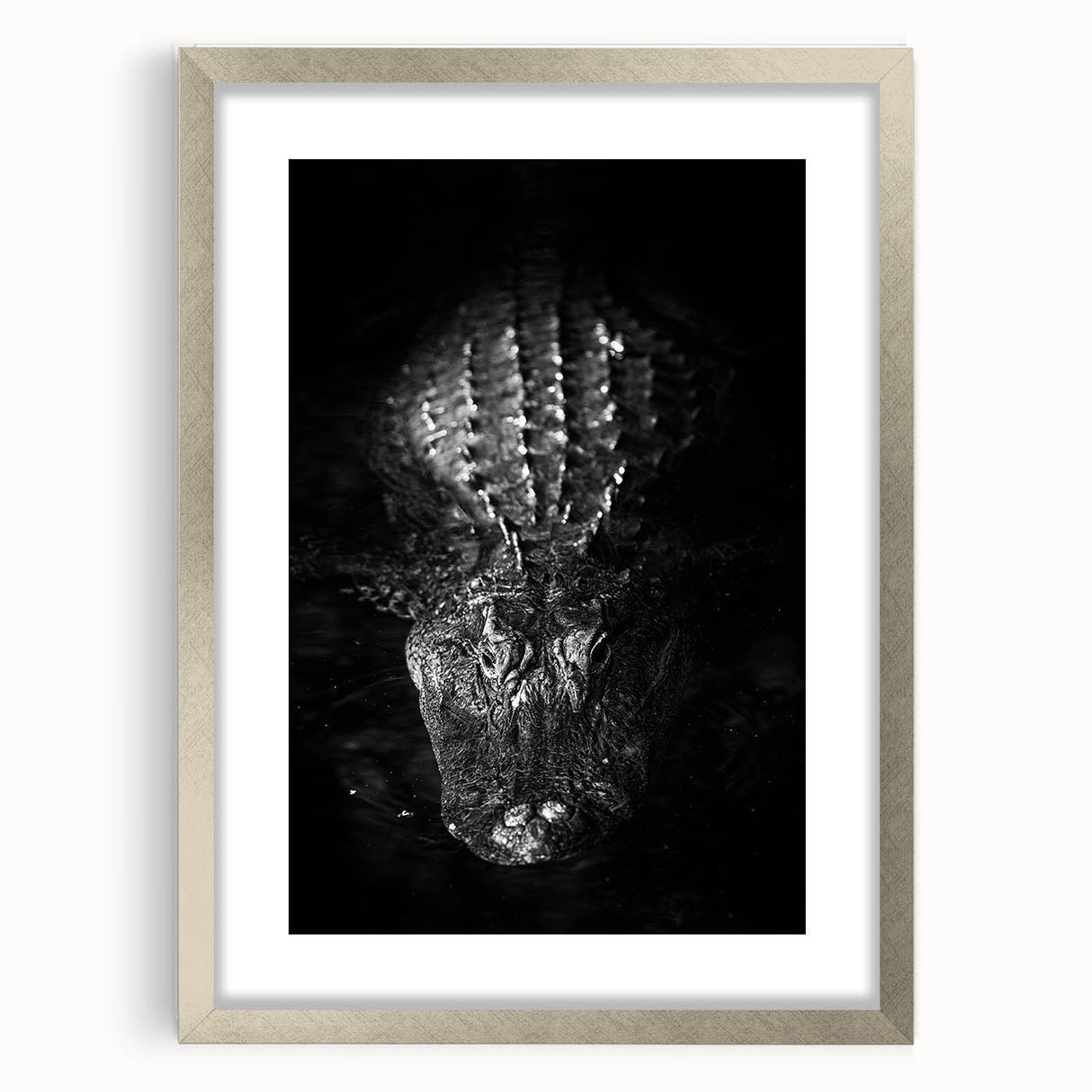 Framed wall art collection featuring a striking design of reptiles, gators, and crocodiles in a silver frame with a mat, perfect for wildlife enthusiasts and home decor.