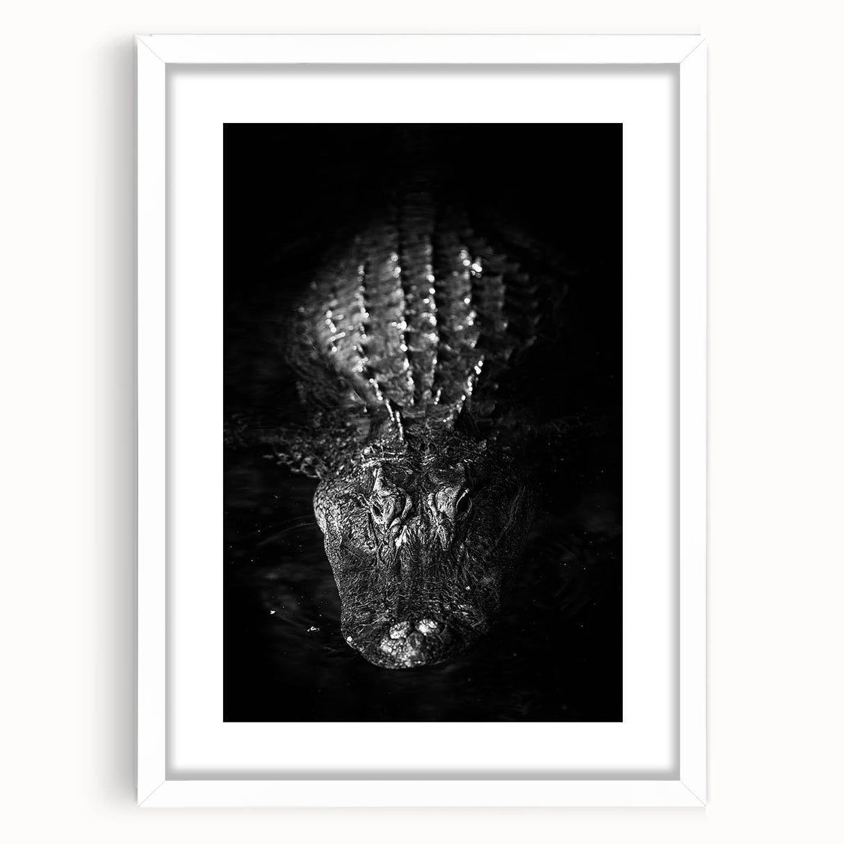 Framed wall art collection featuring a vibrant reptile design of alligators and crocodiles, set against a white mat for a modern aesthetic. Perfect for wildlife enthusiasts and home decor.